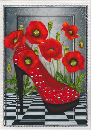 Special Shoes & Poppys by Susan Cummings
