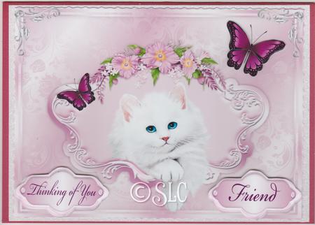 Framed Puss for Various Occasions by Susan Cummings