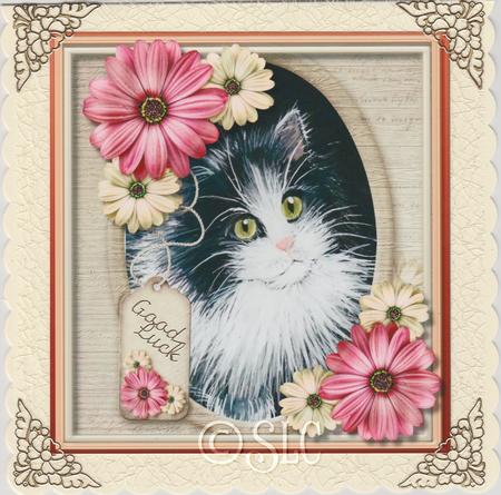 Lovely Kitty in a Oval Frame  by Susan Cummings