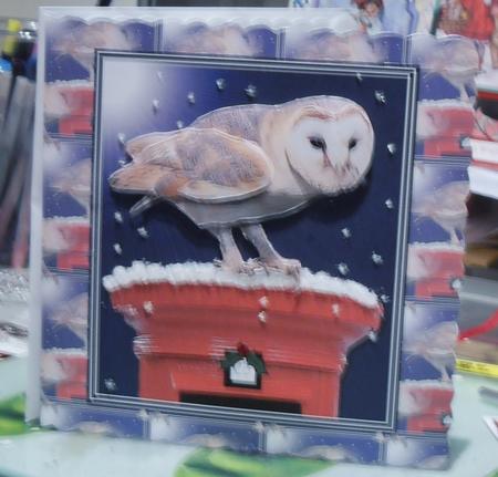 Barn Owl on a Post Box Background Sheet by Susan Ewington