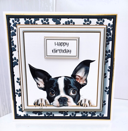 Peeking Dogs Set 1 Multi Topper Kit by Susan Garrett