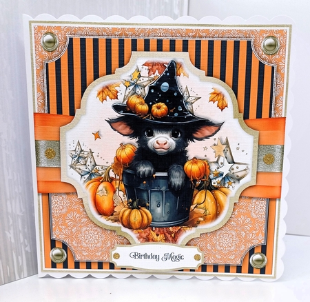 Animal Magic by Susan Garrett