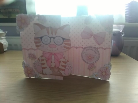3D Shaped No-Hole Fold Back Mini Kit - Cute Little Cat Sydney by Susan Goodwin