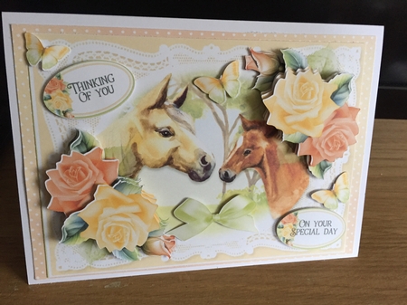 Lace and Roses Bumper Kit 9 by Susan E Gradwell