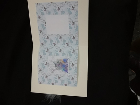 6 x 6 Card Insert Bird/Birdcage on Blue Hummingbird Background, Blank by Susan Green