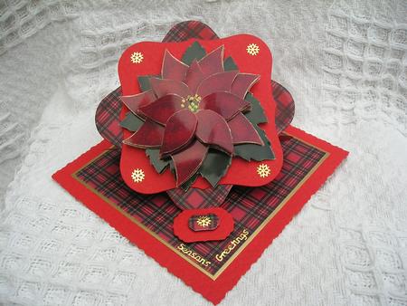 Christmas Poinsettia by susan hickey