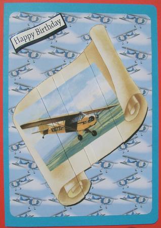 Flying High with the Piper by Susan Hopkins