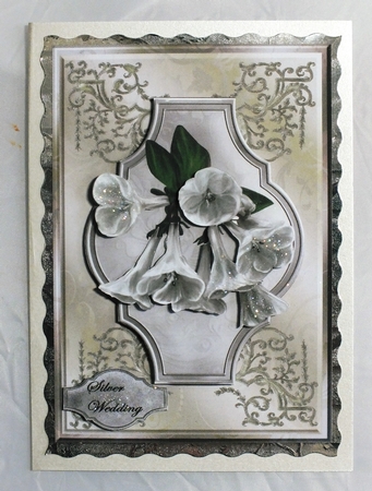 Silver Wedding by Susan James