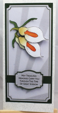 Arum Lillies Sympathy Dl by Susan James