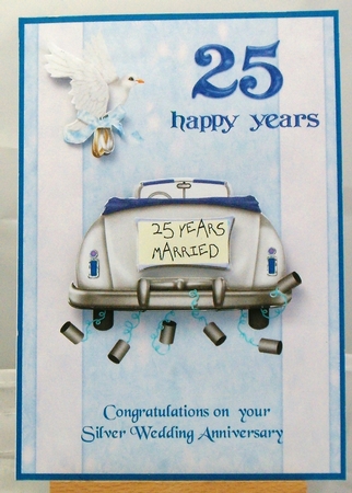 Silver Wedding Anniversary by Susan James