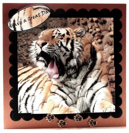 Big Catd Day Out Scalloped Corner Stacker by Susan James