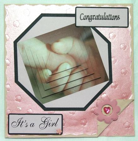 A New Baby Girl by Susan James