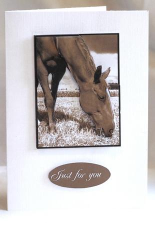 Horses at Rest Sepia by Susan James