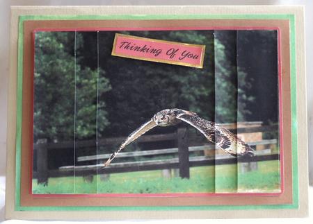 Wings Up by Susan James