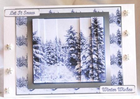 Winter Forest by Susan James