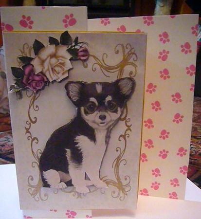 Cute Chihuahua Puppy by Susan Jane Morson