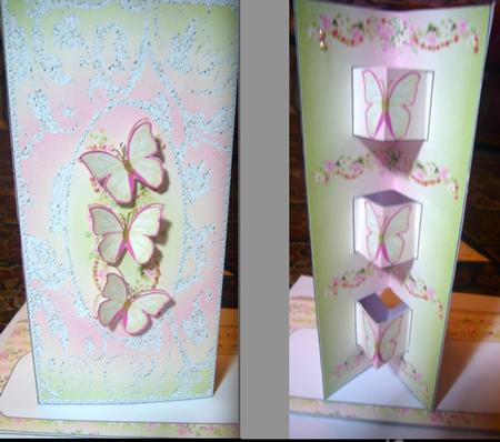 Double Pop Out Card - Thank You Butterflies by Susan Jane Morson