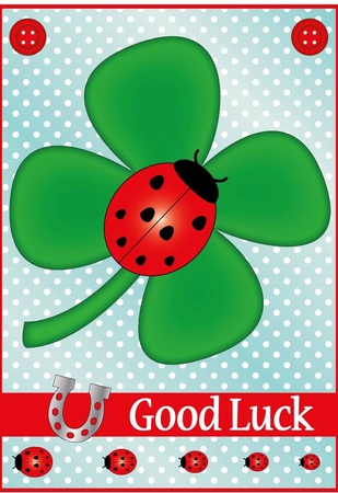 Good Luck Ladybird by Susan Lamb
