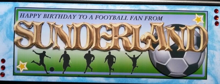 Football Fan from - Sunderland by Susan Lamb