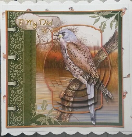 An Eye for the Birds! Kestrel Card Topper & Pyramage by Susan Lamb