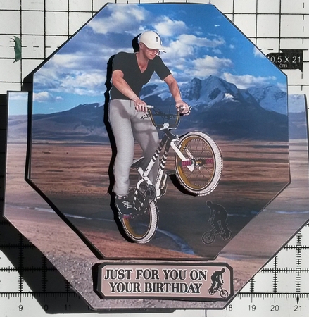 Bmx Biker by Susan Lamb