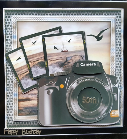 Through the Lens by Susan Lamb