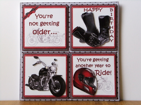 8x8 Another year to ride mini kit by Susan Lapornik