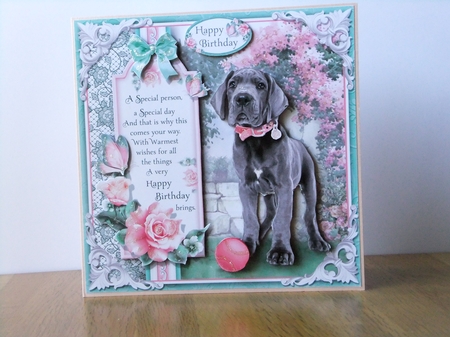 Big Dogs Bumper Kit by Susan Lapornik