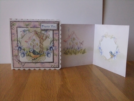 6 x 6 Card Front Blue/Yellow Woodland Bird with Floral Frame by Susan Lapornik