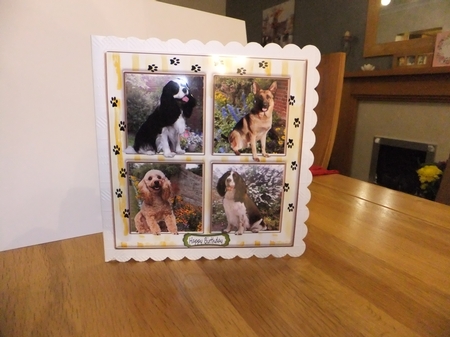 LOVE ME LOVE MY DOG by Susan Lapornik