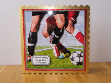 Hope its a winner by Susan Lapornik