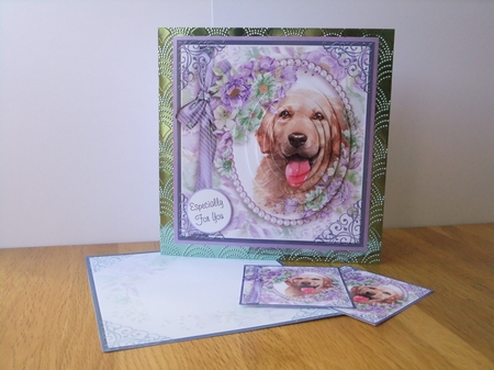 cute Dog collection by Susan Lapornik