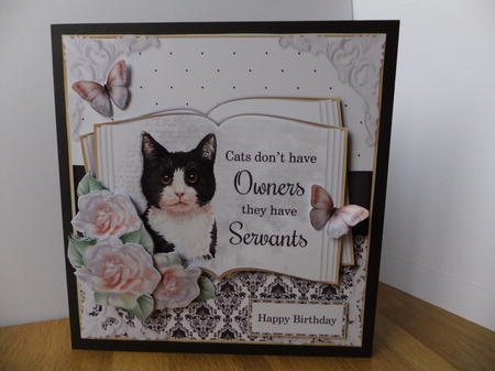 Cats have Servants Bumper Kit by Susan Lapornik
