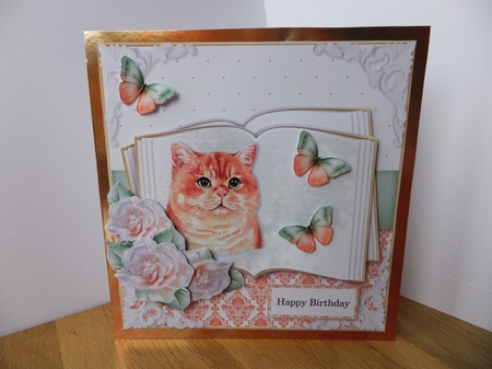 Cats have Servants Bumper Kit by Susan Lapornik