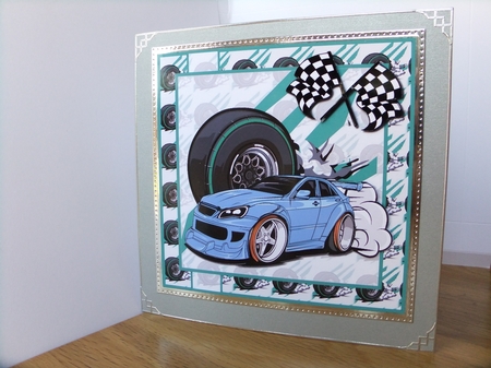 NASCAR Racing by Susan Lapornik