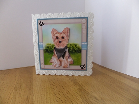 Beautiful Yorkie in the Garden by Susan Lapornik