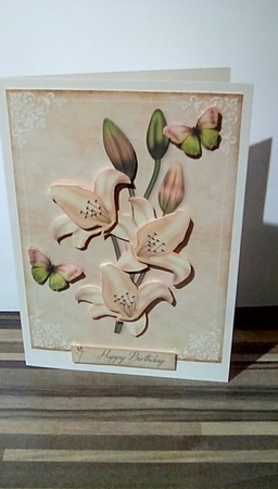 Just Lily 3 by Susan Lapornik