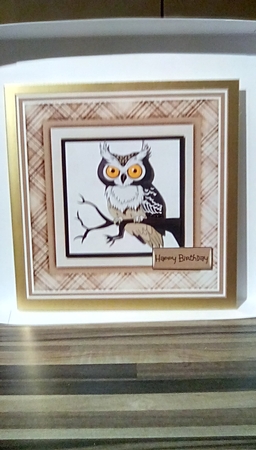 Night owl 7x7 card by Susan Lapornik
