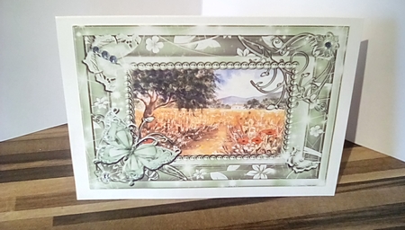 Poppy Fields and Country cottage garden. 2 Butterfly framed card toppers by Susan Lapornik