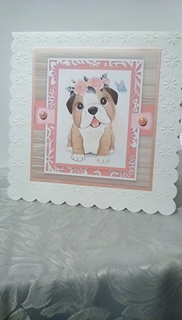 Gorgeous Bull Dog With Roses 8x8 by Susan Lapornik