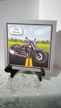 Motorbike Mad by Susan Lapornik