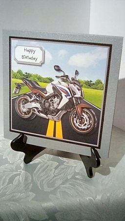 Motorbike Mad 2 by Susan Lapornik
