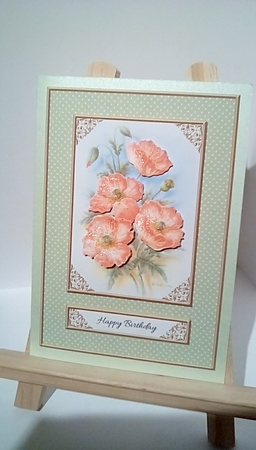 Birthday - Lovely Rob Pohl Poppies  by Susan Lapornik