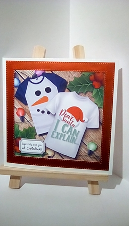 Dear Santa....I can explain by Susan Lapornik