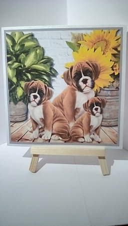 Beautiful Boxers card topper by Susan Lapornik