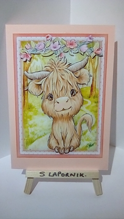 A5 , Gorgeous Buffalo Baby by Susan Lapornik