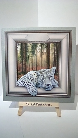 leopard by Susan Lapornik