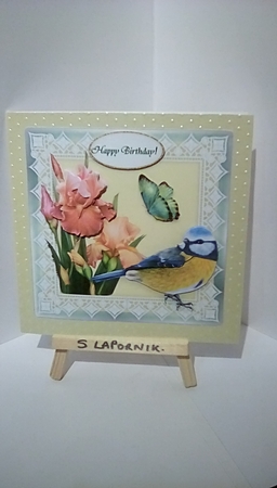 Bluetit Butterfly Lace & Iris Flowers 6 x 6 Card Kit With Decoupage Insert Envelope Gift Cards &  Masses Of Tags by Susan Lapornik