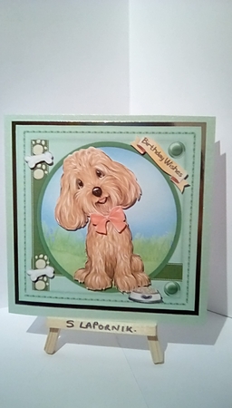 Gorgeous Cavoodle Pup by Susan Lapornik