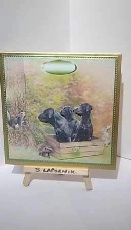3 labs by Susan Lapornik